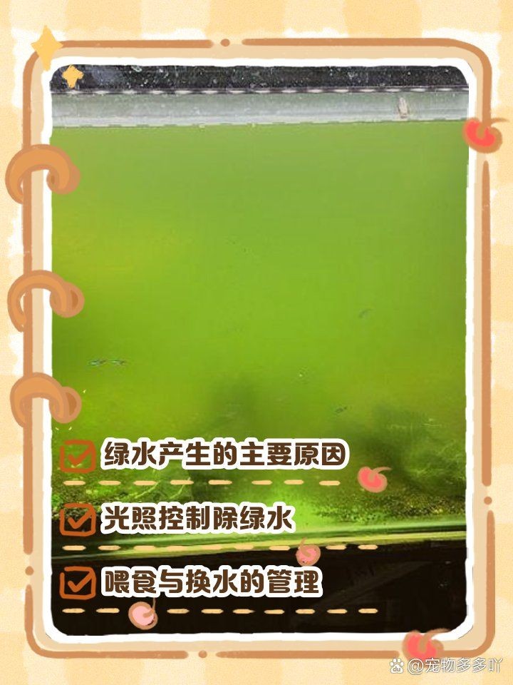 吉印水草燈養(yǎng)綠水