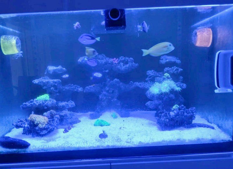 海水養殖最忌三種魚