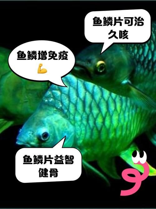 各種魚的魚鱗圖片