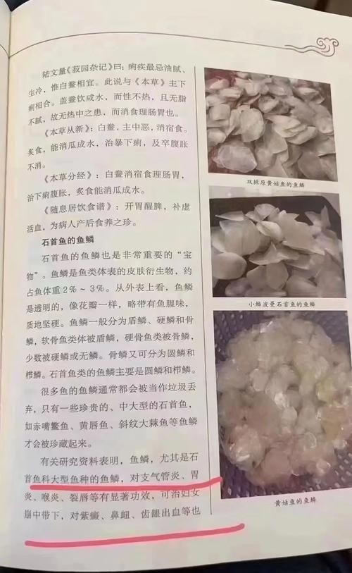 各種魚的魚鱗圖片