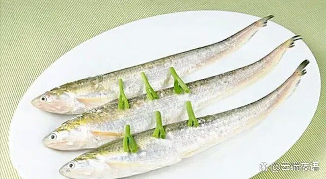 今天刀魚價格