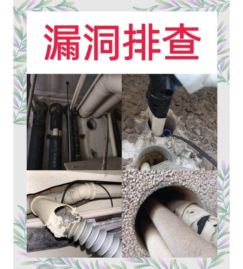 家庭滅鼠上門服務(wù)