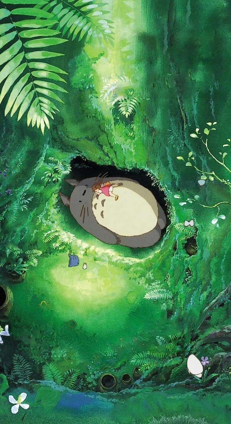 貓會(huì)傷害龍貓嗎
