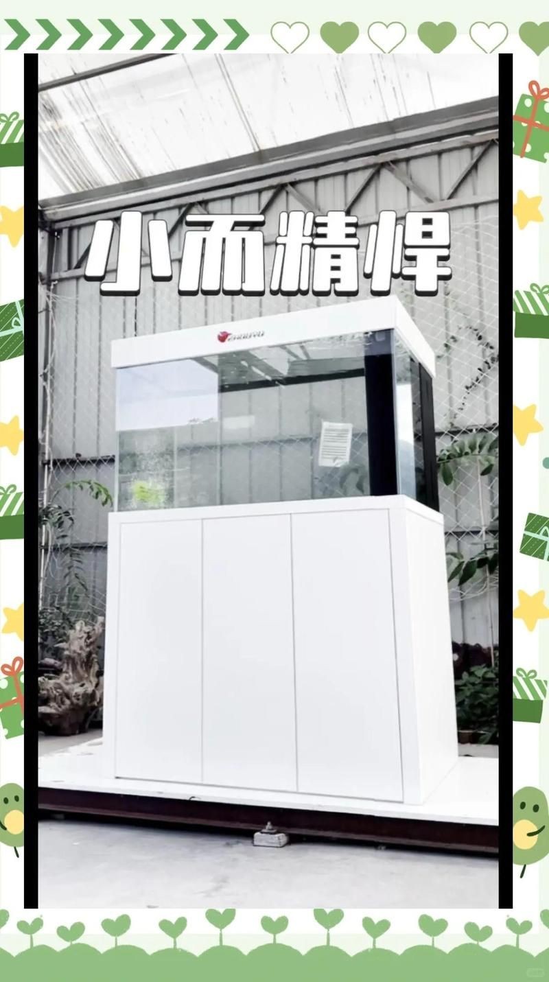 1.2米的魚缸能養龍魚嗎