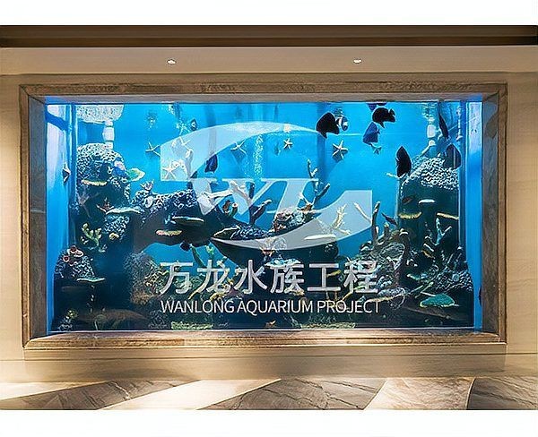 1.2米的魚缸能養龍魚嗎