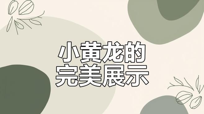 小紅龍魚視頻
