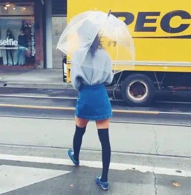 假的一眉道人魚