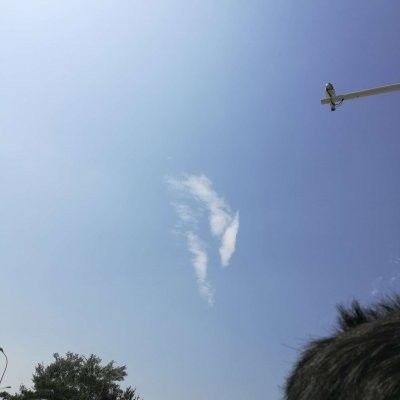 假的一眉道人魚