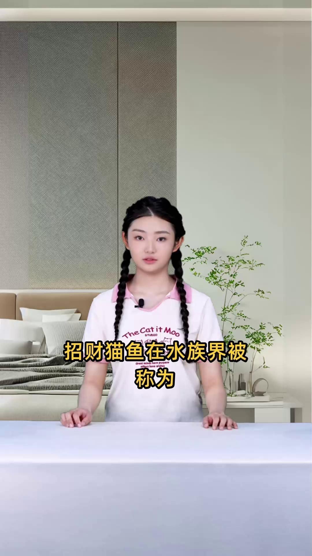 招財貓魚為什么不建議養(yǎng)
