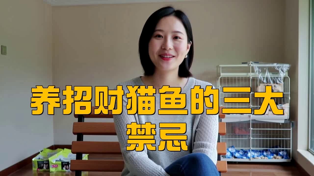 招財貓魚為什么不建議養