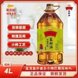 3元一條小金龍魚圖片