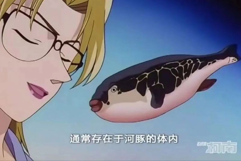 河豚和河鲀是一種魚嘛