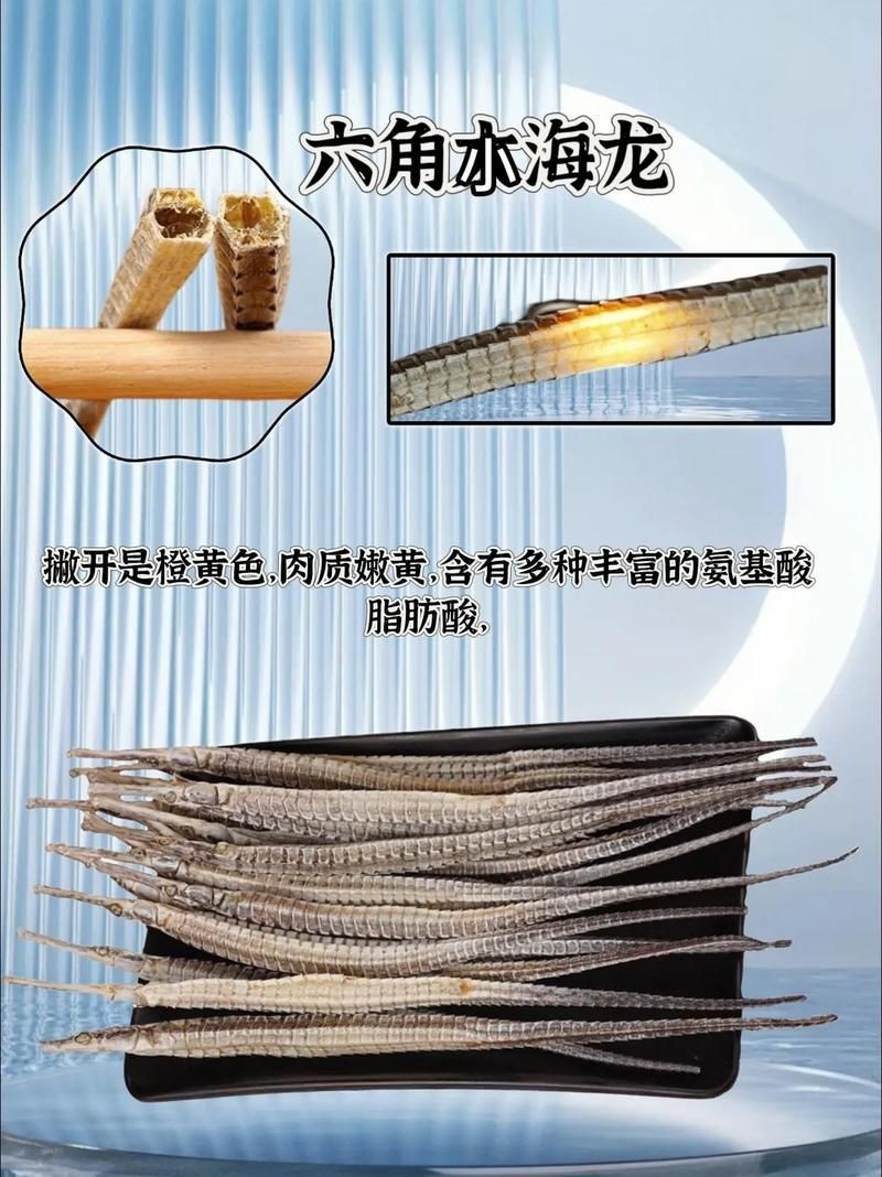 真正海龍的圖片