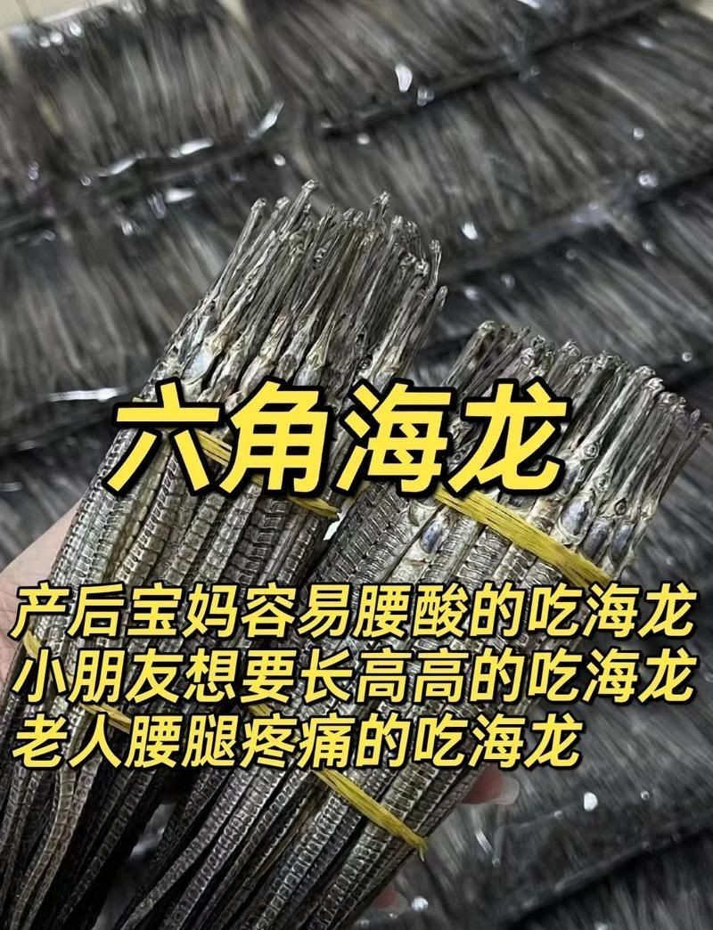 真正海龍的圖片