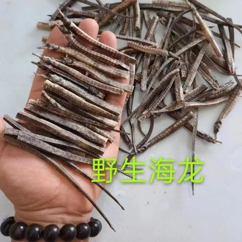 真正海龍的圖片