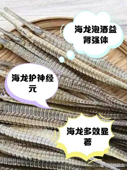 真正海龍的圖片