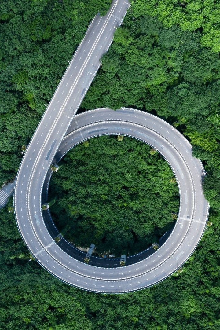 真正海龍的圖片