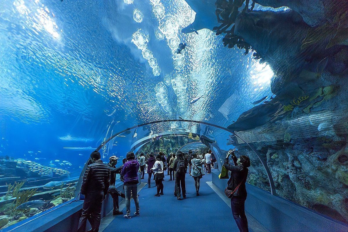 海底世界全國排名