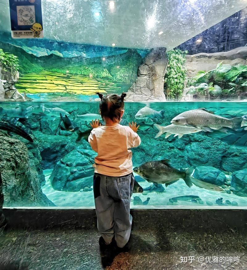 海洋水族館游玩攻略