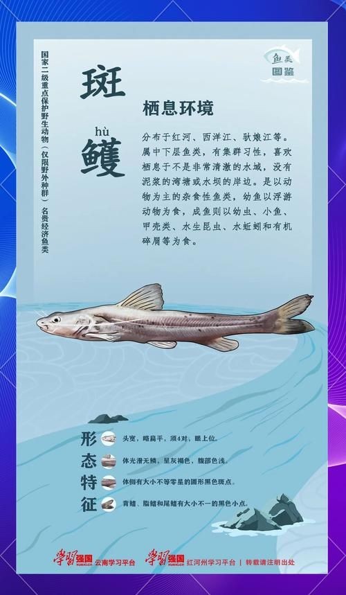 國家二級保護魚種圖片