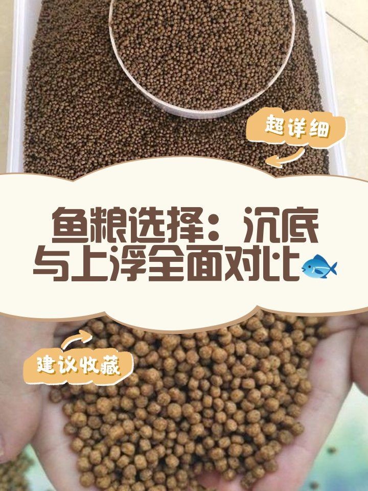 好魚糧的毒性有多強