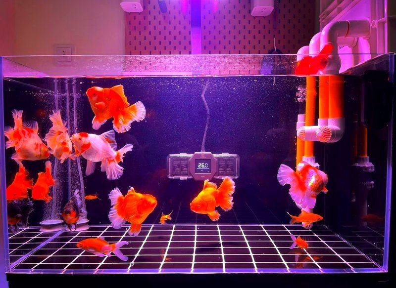 吉印水族箱照明燈