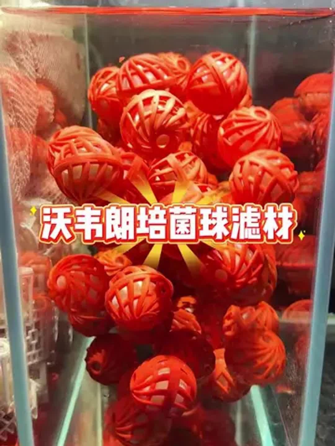 國產水族濾材哪個牌子好