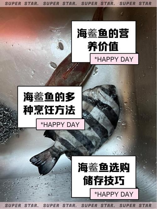 海和尚魚照片大全