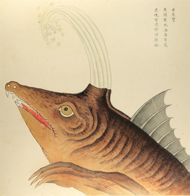 海和尚魚照片大全