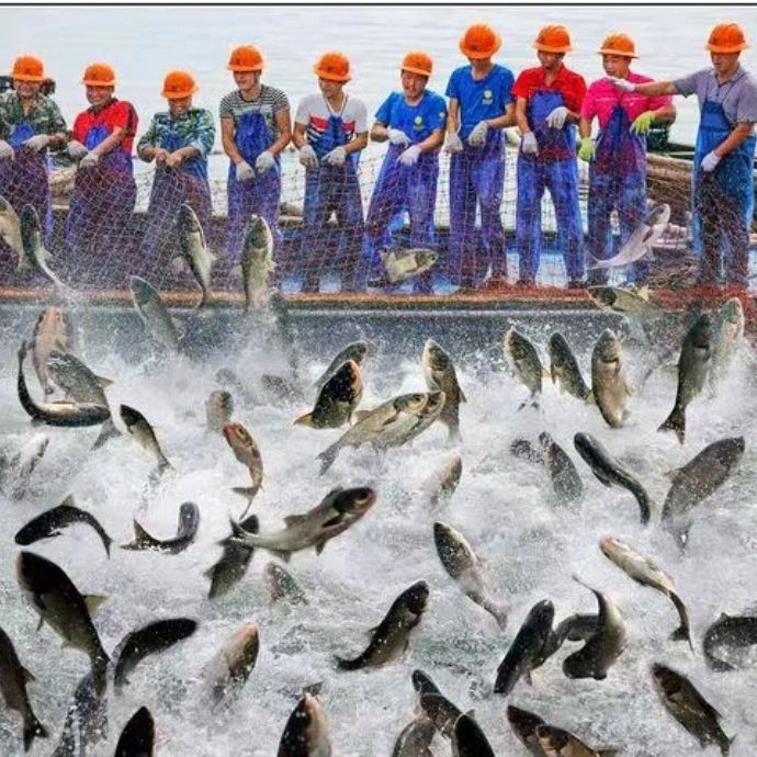 健康水族高鈣最簡單三個步驟