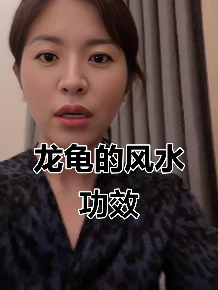 家里龍龜擺件放哪里好