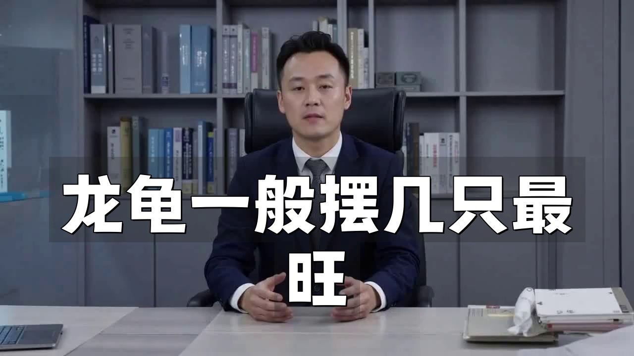 家里龍龜擺件放哪里好