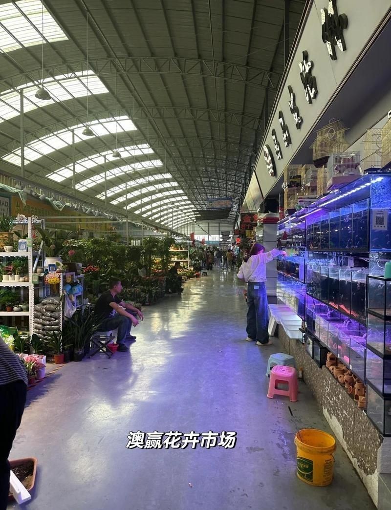呼和浩特魚缸批發市場