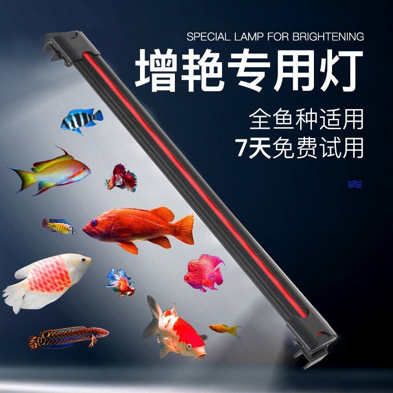 光特億魚缸燈led燈 光特億魚缸燈led燈 全國水族館企業名錄 第3張