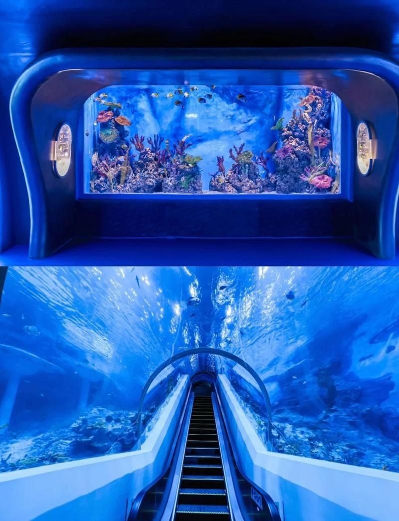 廣州海洋館能玩一天嗎