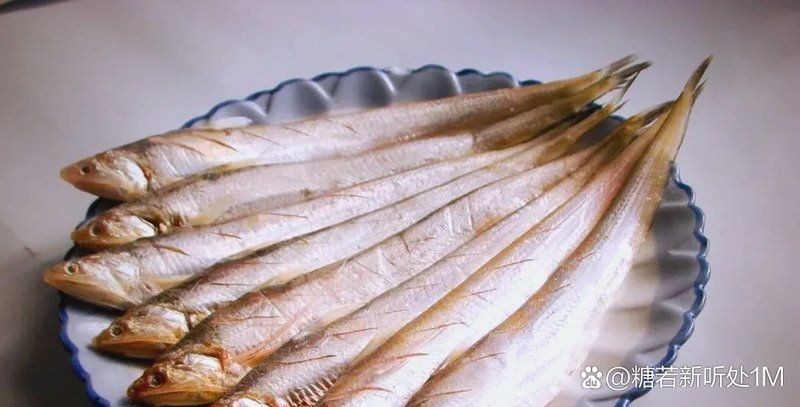 河刀魚是河魚還是海魚