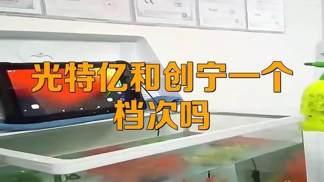 光特億和創寧一個檔次嗎