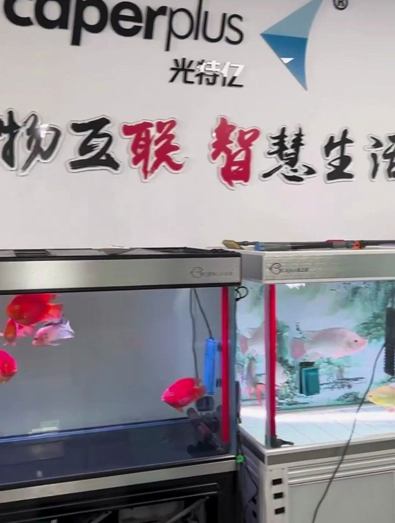 光特億和創寧一個檔次嗎