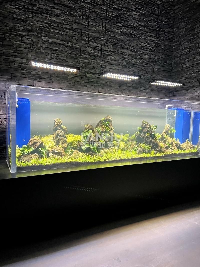 各種魚缸圖片
