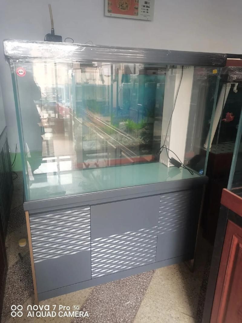 各種魚缸圖片