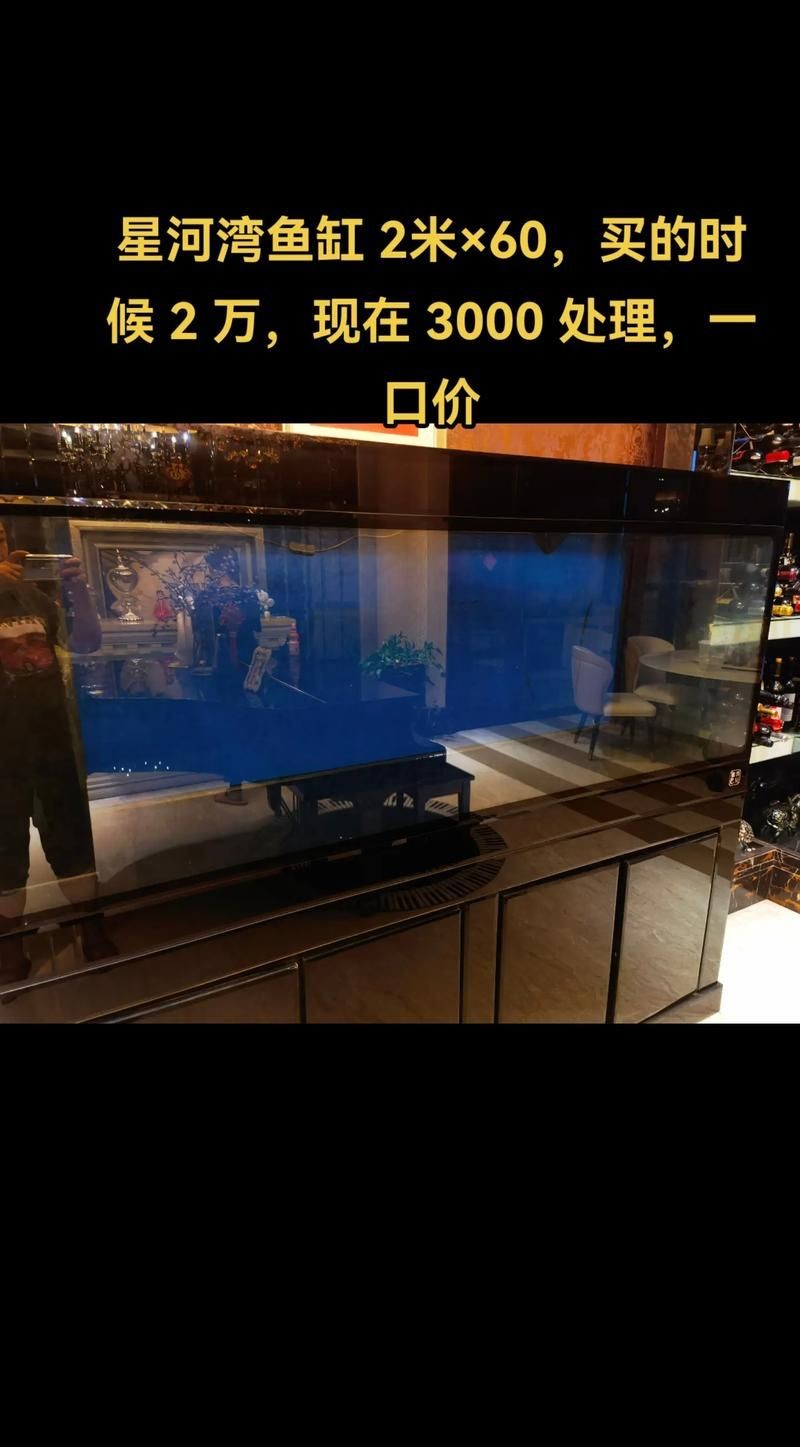 各種魚缸圖片