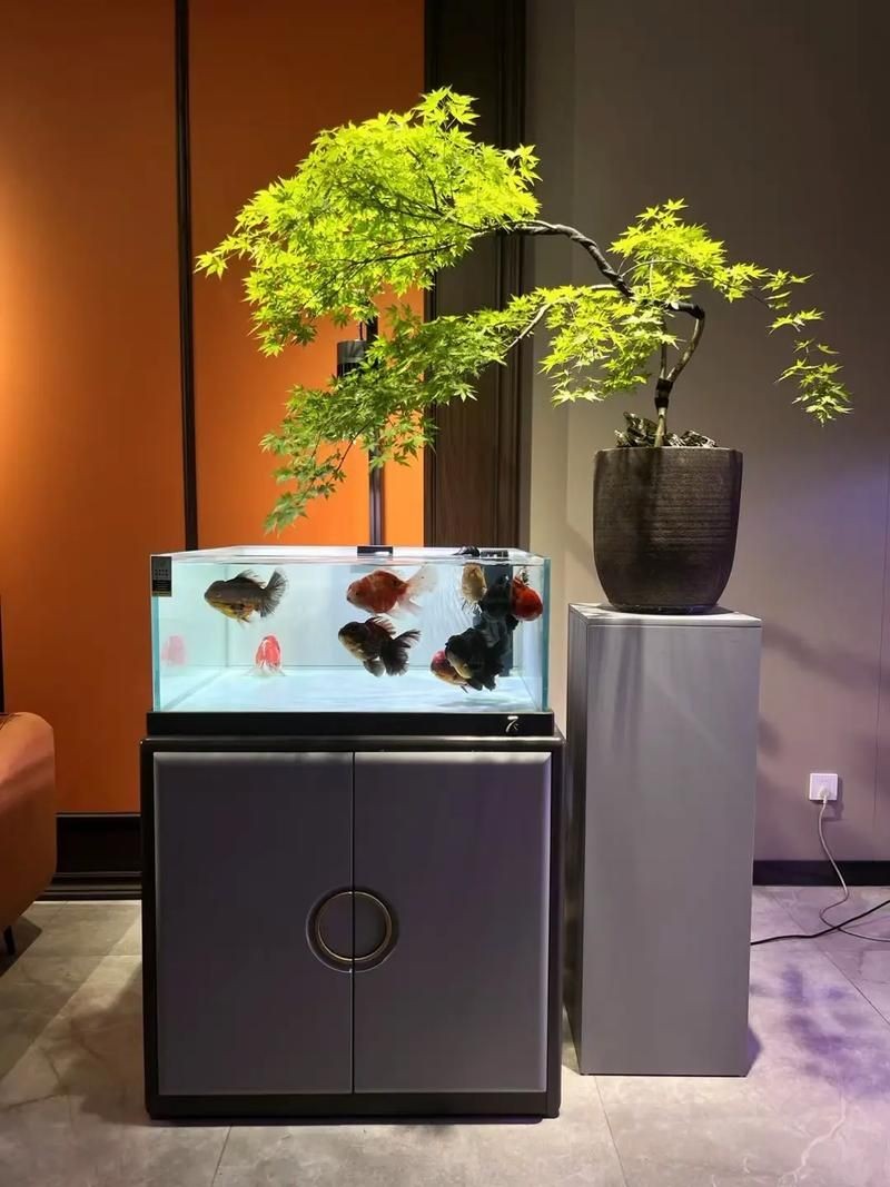 各種魚缸圖片