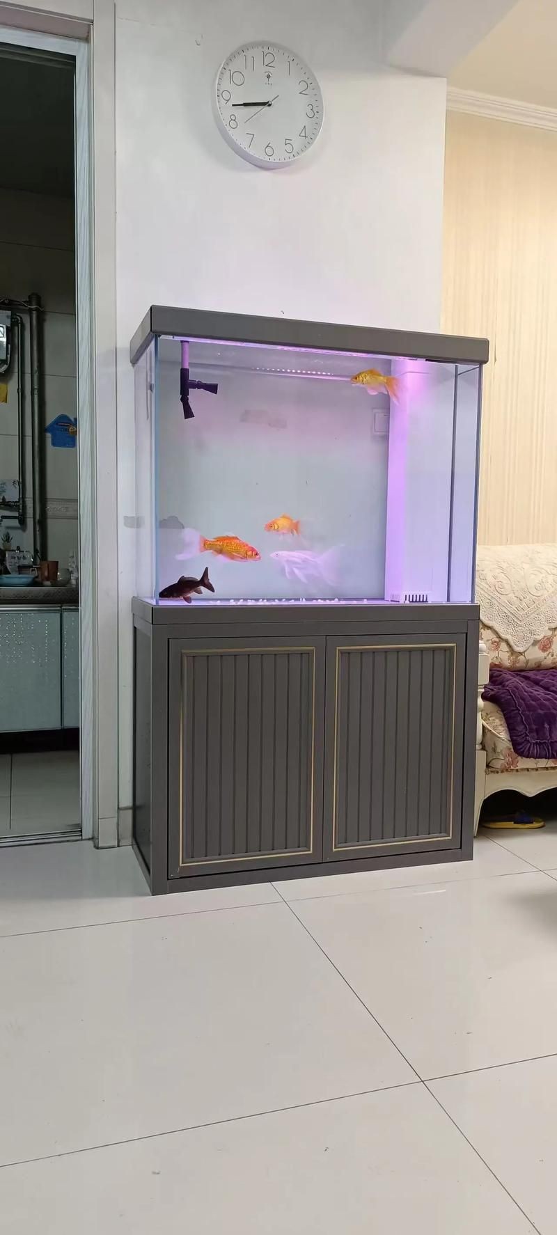各種魚缸圖片