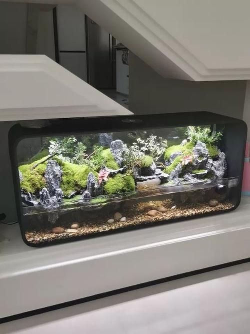 各種魚缸圖片