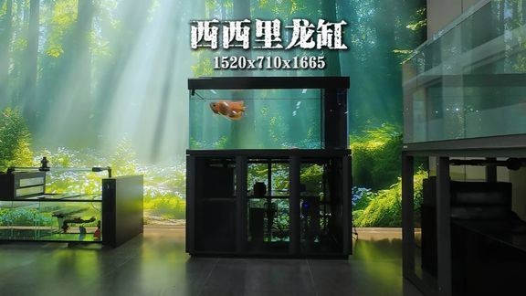 久鼎水族魚缸別墅