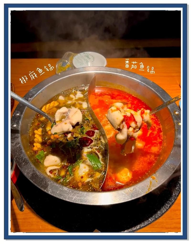 十堰龍魚店