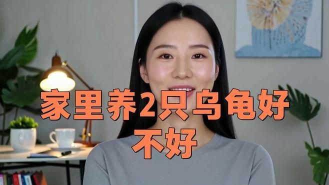 家里養(yǎng)2只烏龜好不好