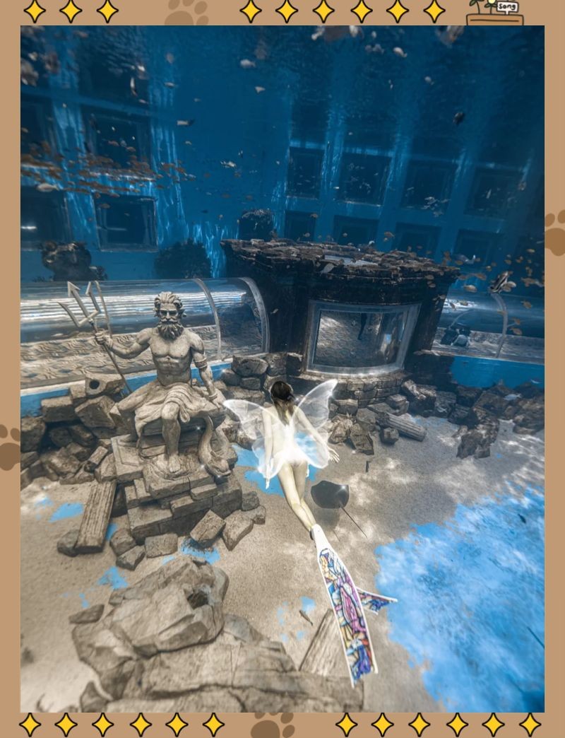 大理白族自治州水族店