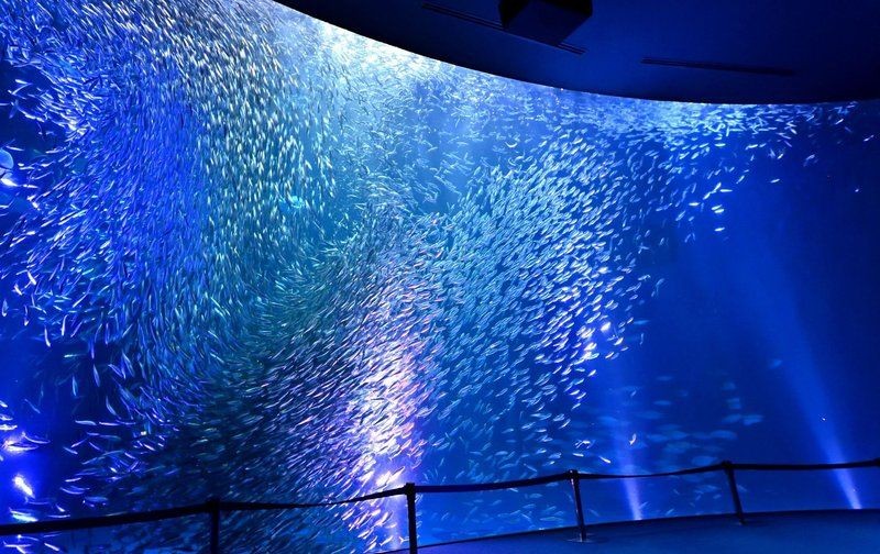 國家水族館名單查詢系統