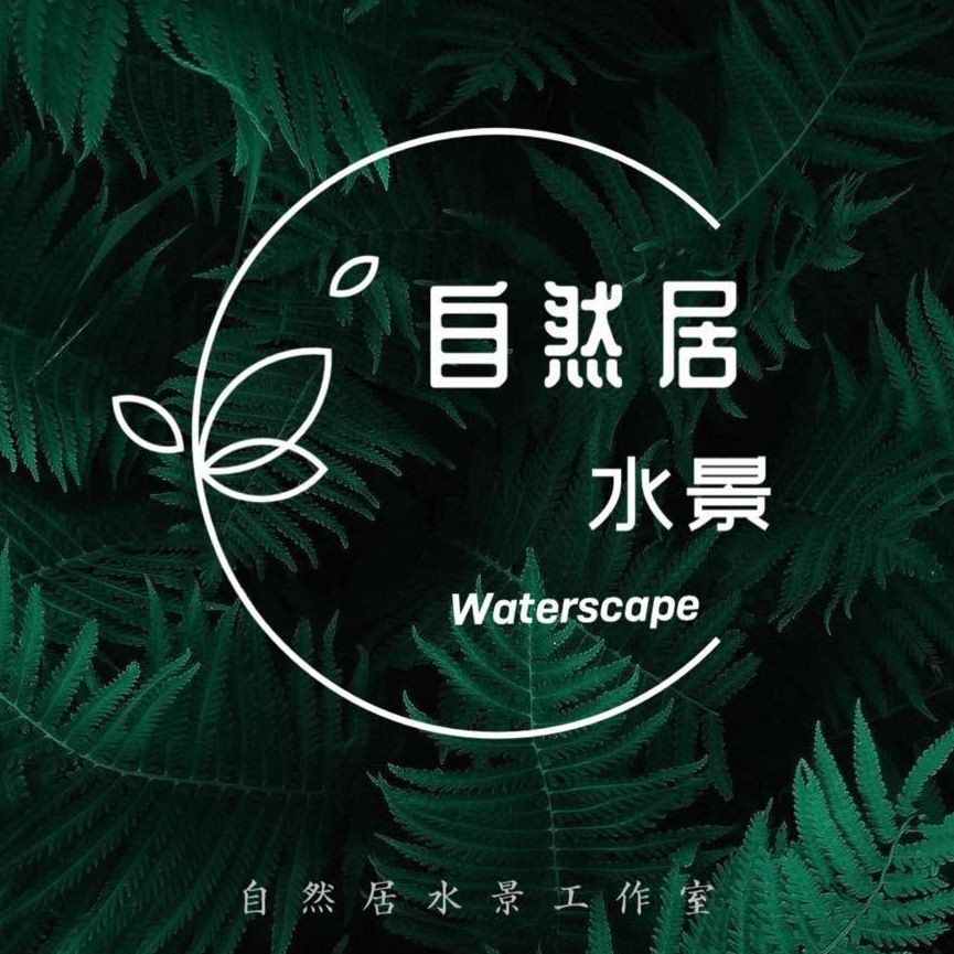 光特億插排怎么樣